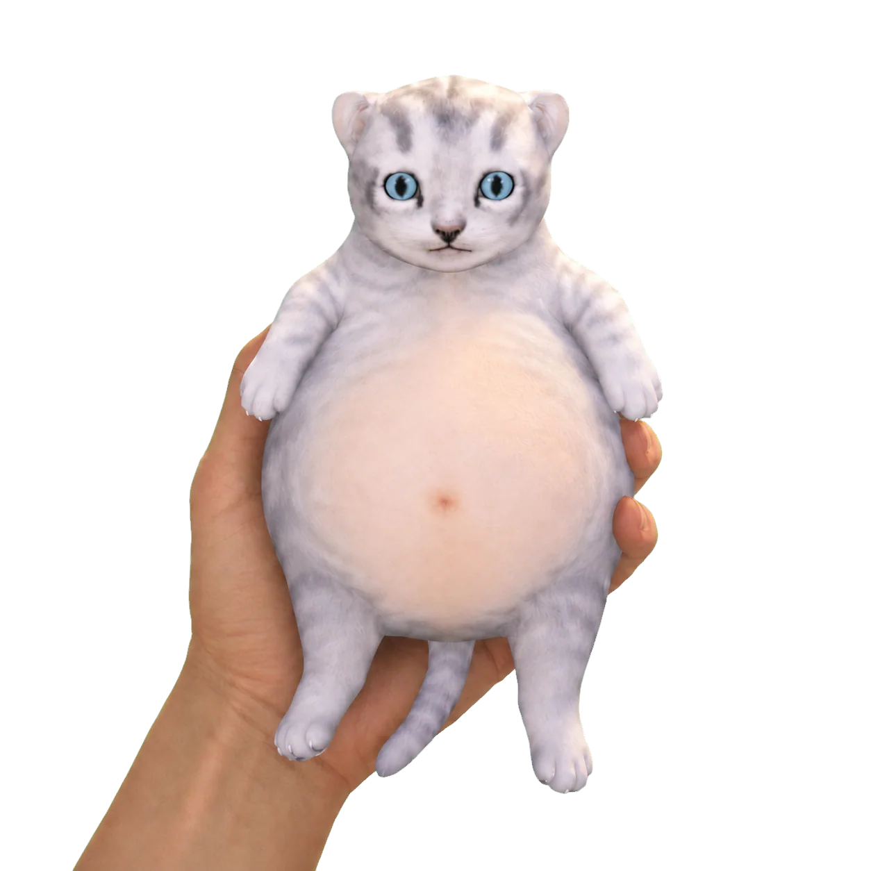 Belly Cat, held up